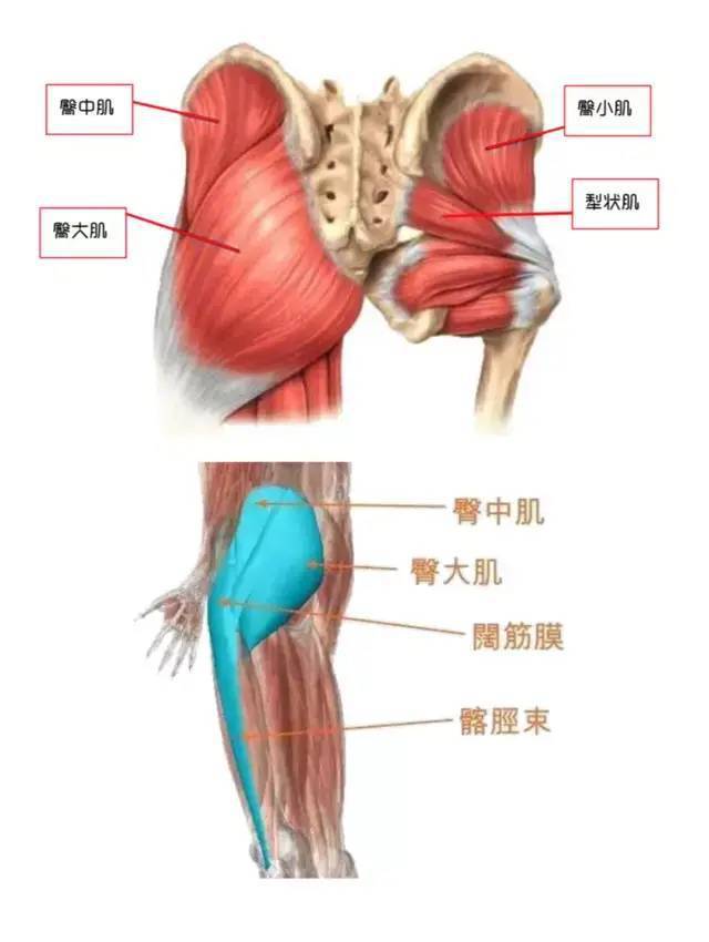 最新臀療手法視頻，探索臀部美麗與健康之道