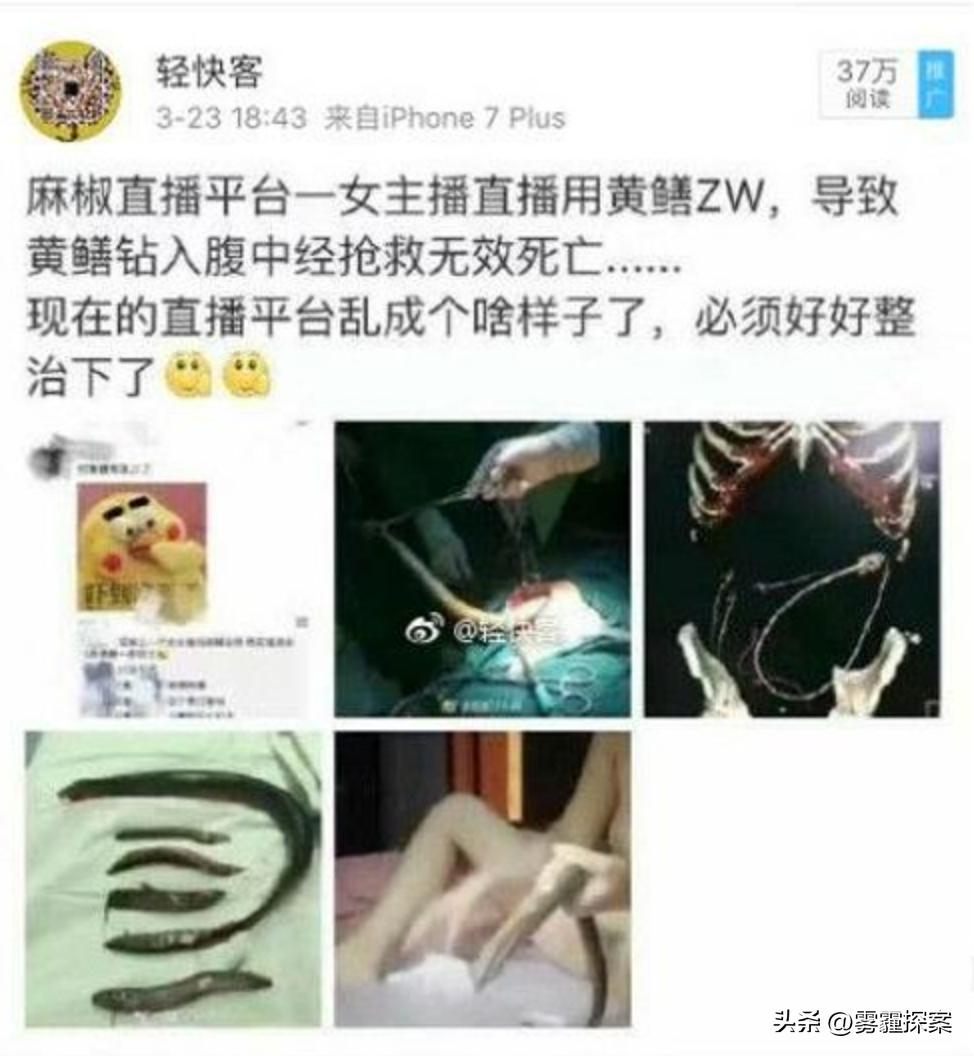 黃鱔事件揭秘，探究背后的真相與廣泛影響