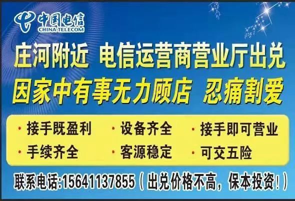 莊河最新招聘網(wǎng)，人才與機(jī)遇的橋梁