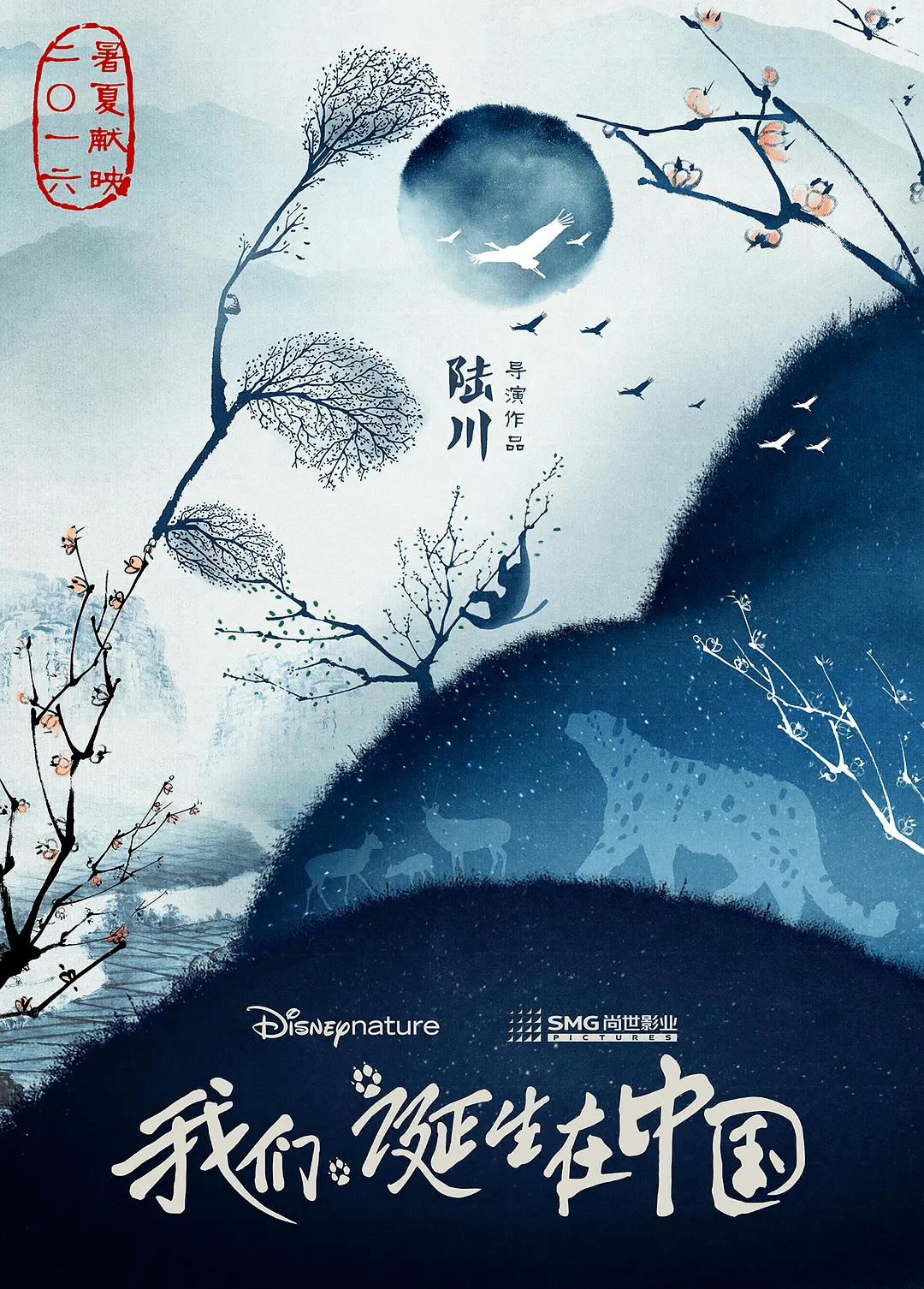 中國(guó)魅力，紀(jì)錄片我們誕生在中國(guó)下載