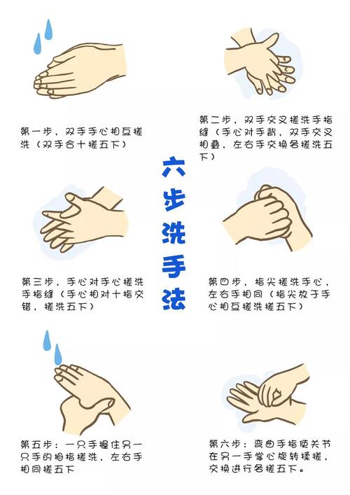 最新六步洗手法視頻，個(gè)人衛(wèi)生習(xí)慣提升的關(guān)鍵步驟解析